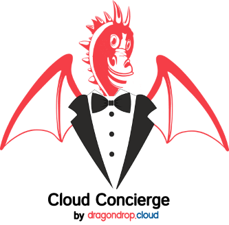 cloud-concierge by dragondrop.cloud